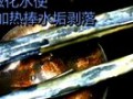 電熱水器使用效果 (1390播放)