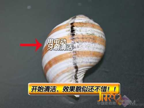 帥哥敗家拆解！