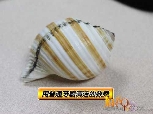 帥哥敗家拆解！