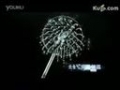 愛爾氏快熱式（凈化）電熱水器 (2284播放)