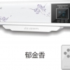 速熱式S728A-郁金香 藍(lán)牙25L不銹鋼/金硅膽—暢銷(xiāo)機(jī)