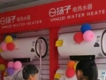全民瘋搶，揚(yáng)子電熱水器開業(yè)鉅惠大獲成功 (3)
